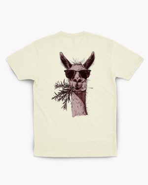 Stylish Llama
